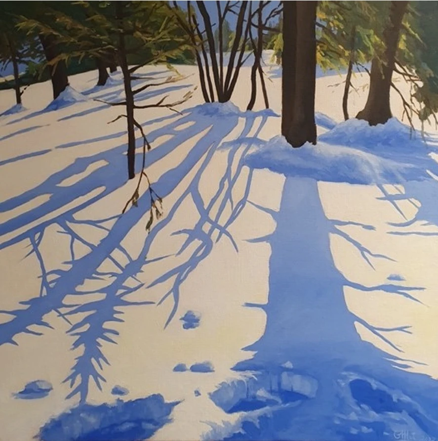 Dancing Shadows in the Snow