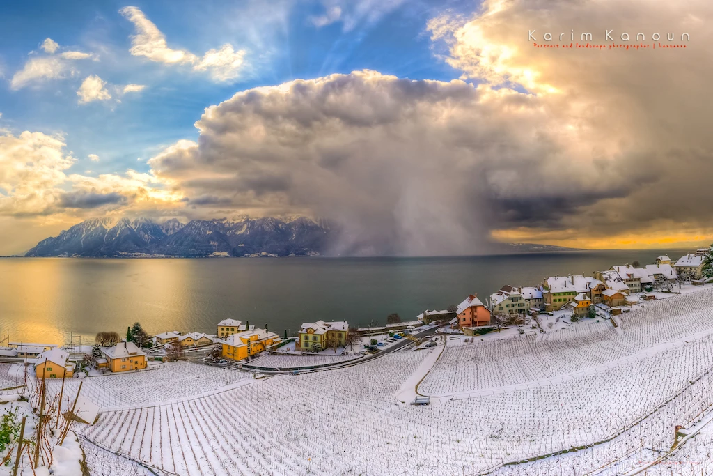 Natural Show - Ansicht 4