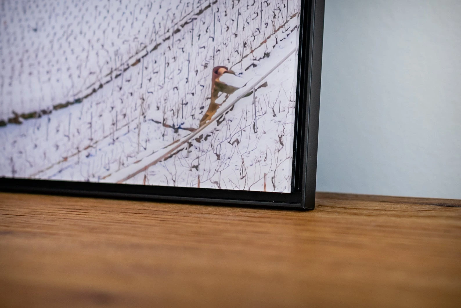 Natural Show - Ansicht 3