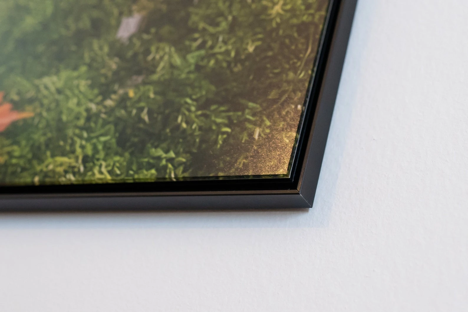 Bern at Sunset Time - vista 2