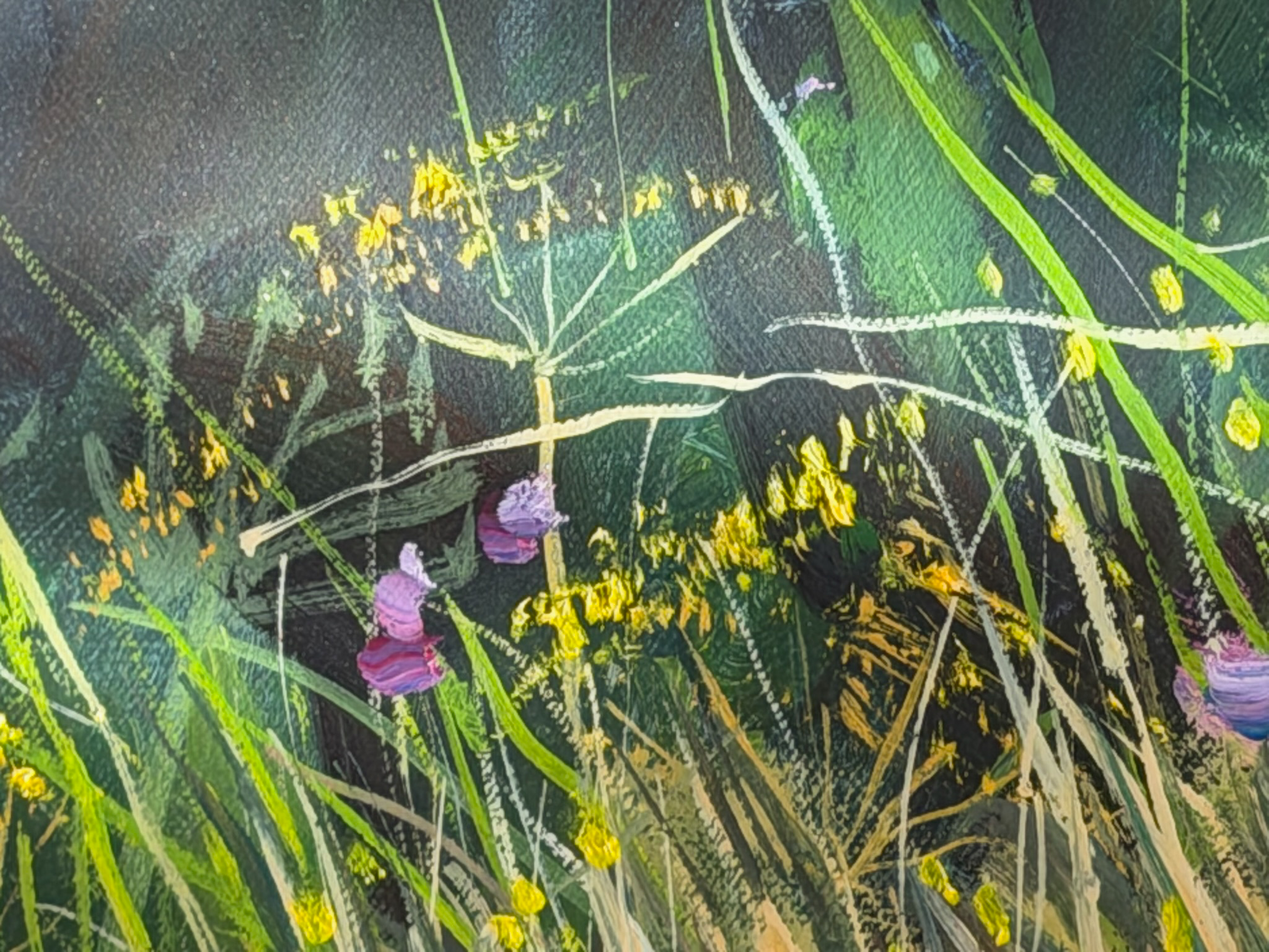 Magerwiese am Waldland - Ansicht 3