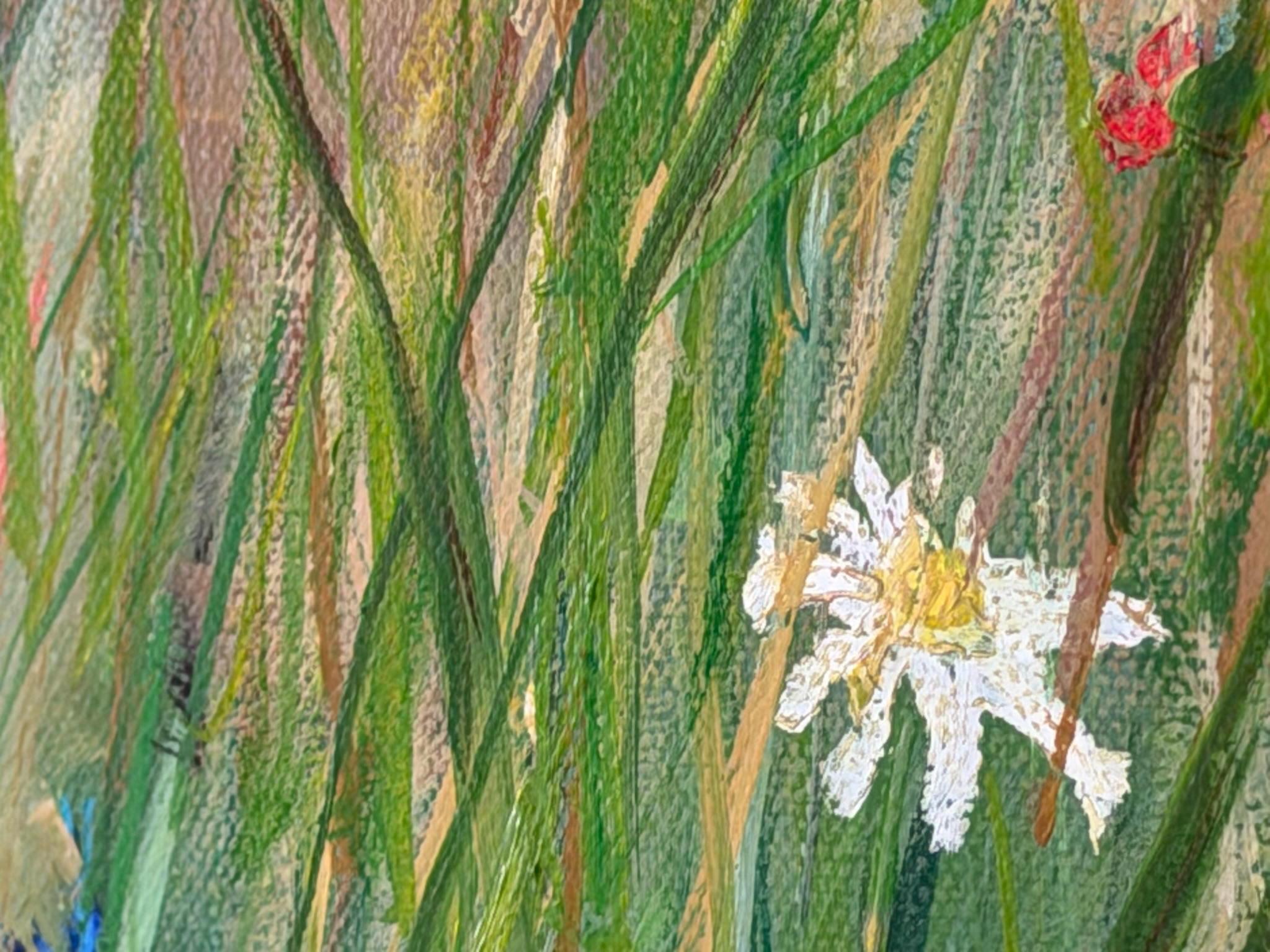 Magerwiese am Waldland - Ansicht 6