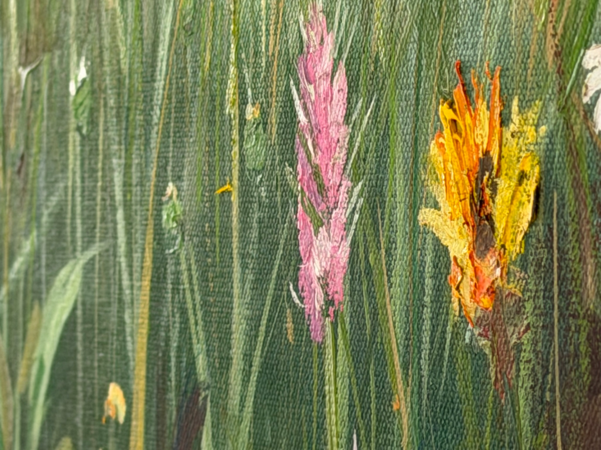 Magerwiese am Waldland - Ansicht 4