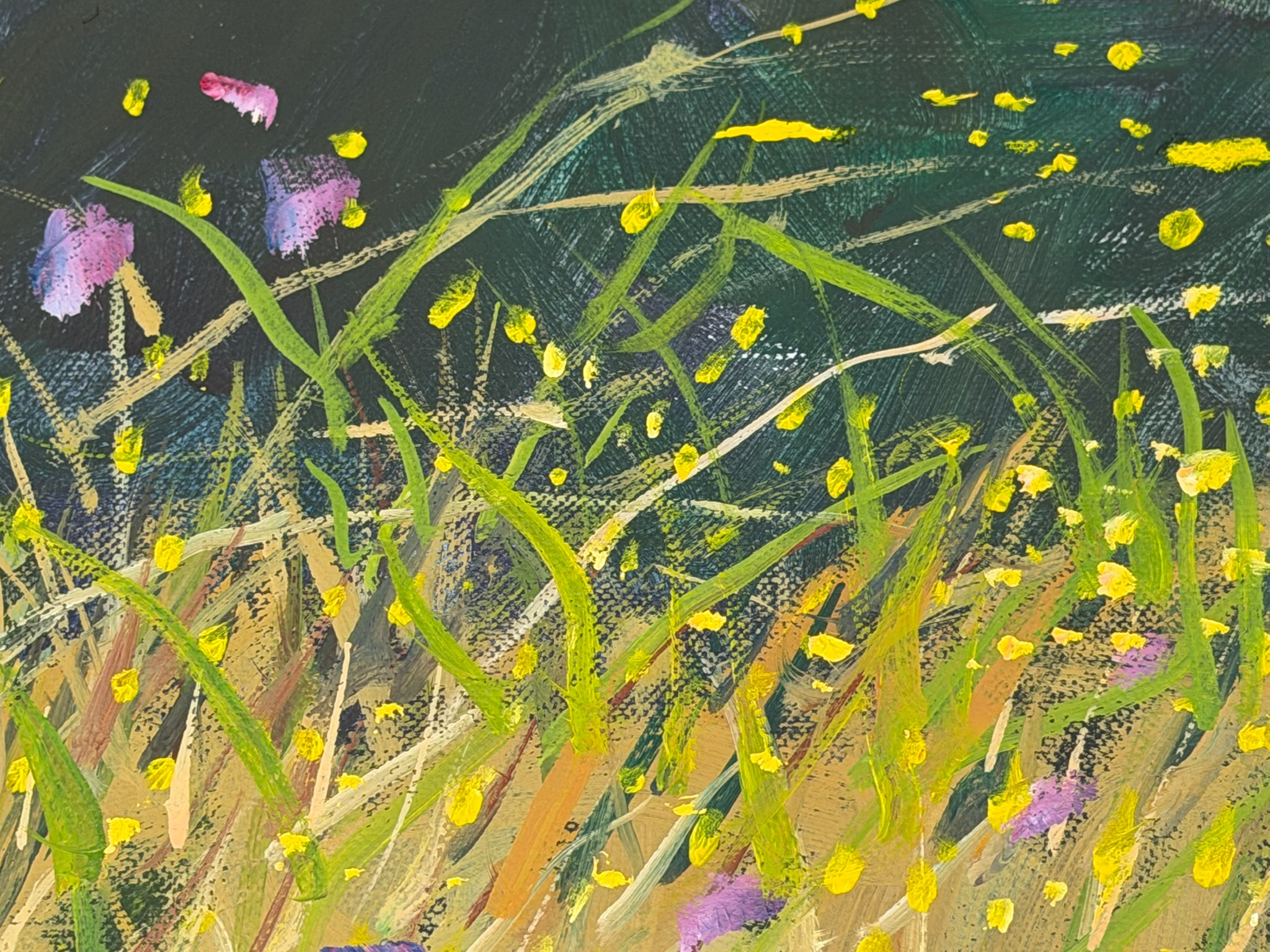 Magerwiese am Waldland - Ansicht 5