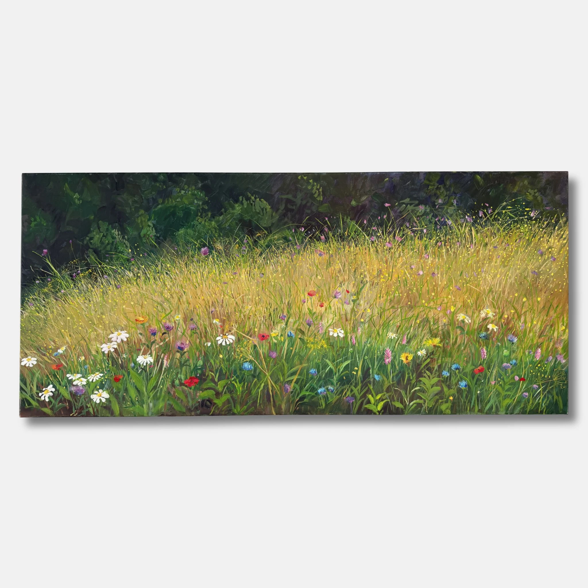 Magerwiese am Waldland - alternate view