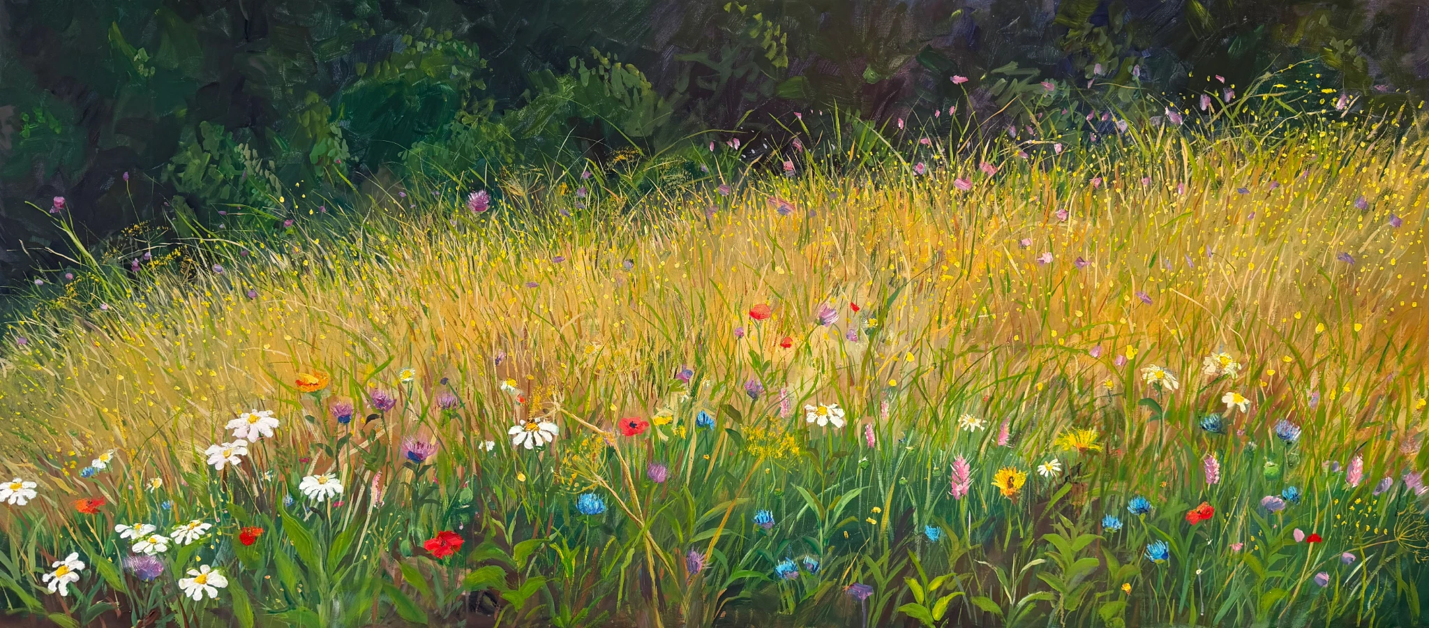 Magerwiese am Waldland