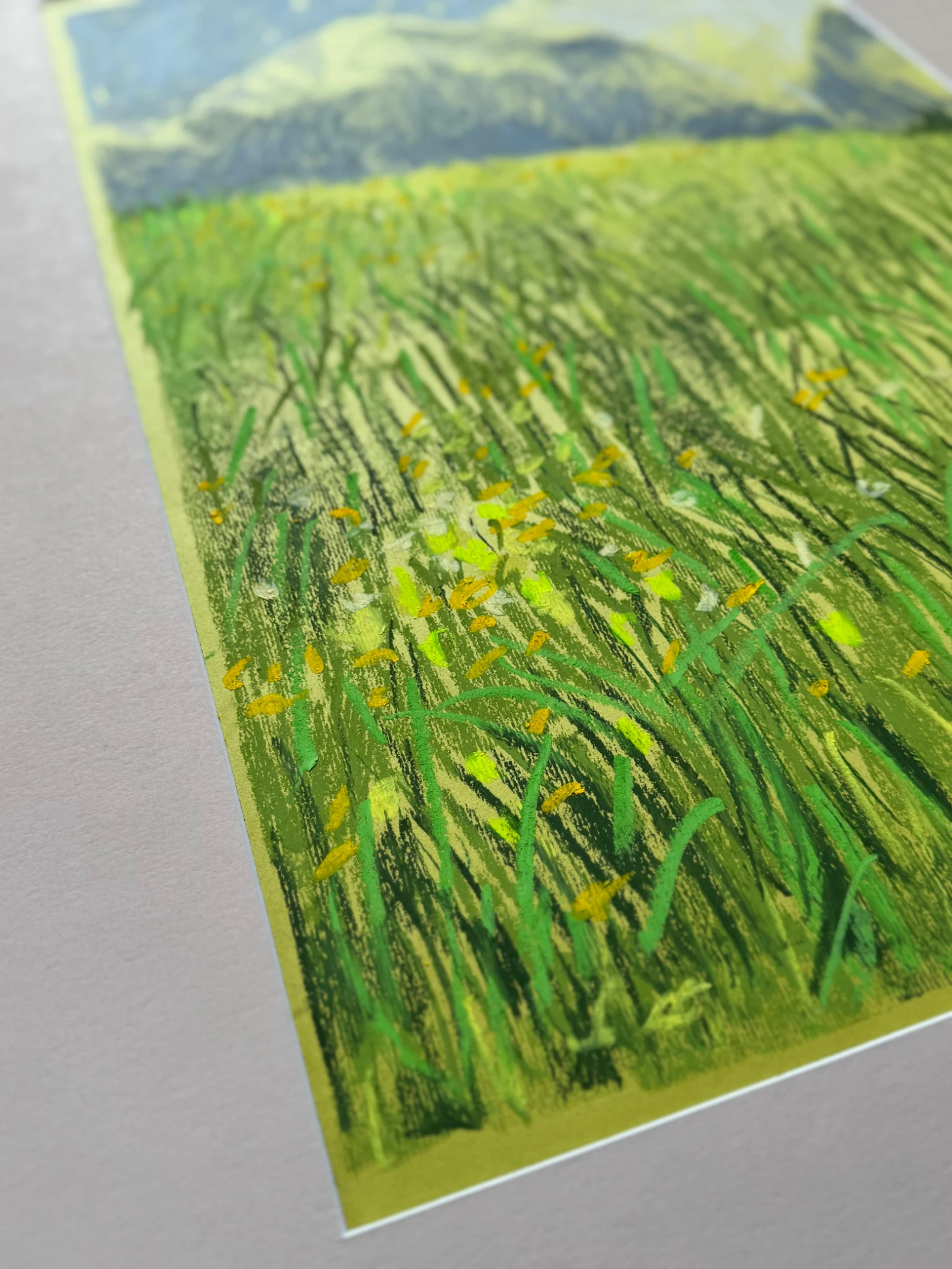 Yellow Field - view 4