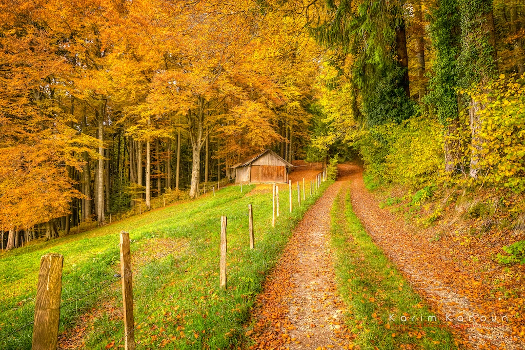 Once Upon A Time - vista 3