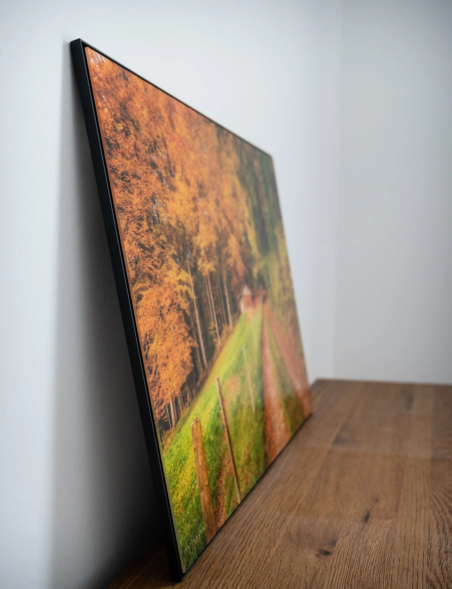 Once Upon A Time - vista 2