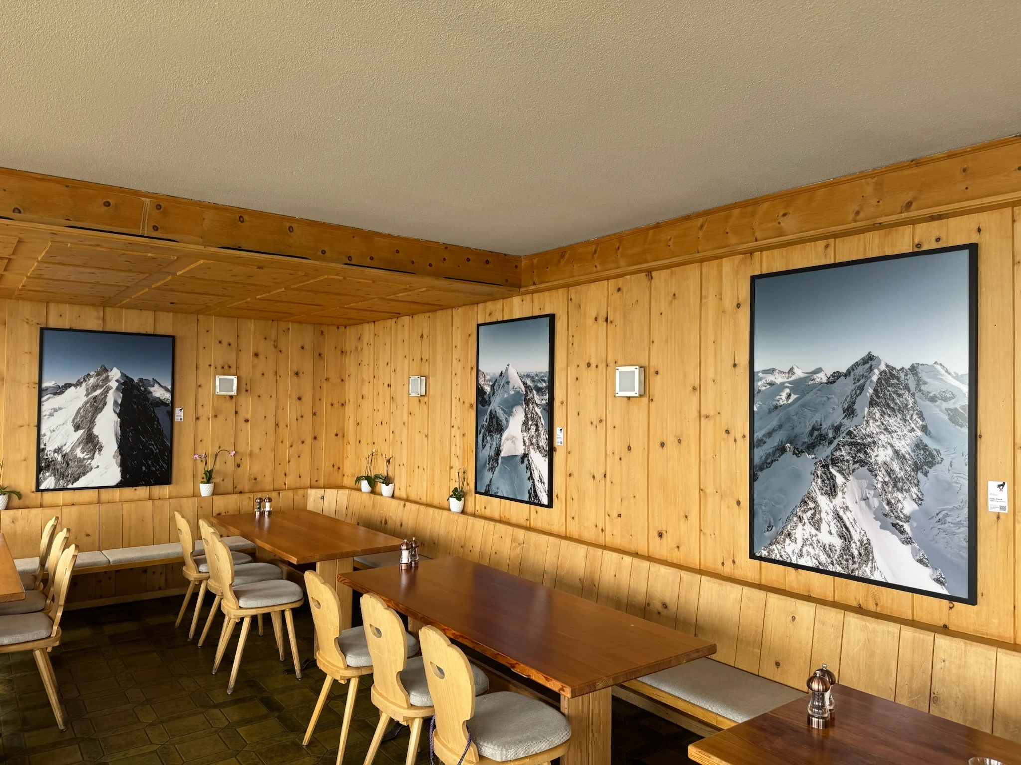 Biancograt - Piz Bernina - Ansicht 2