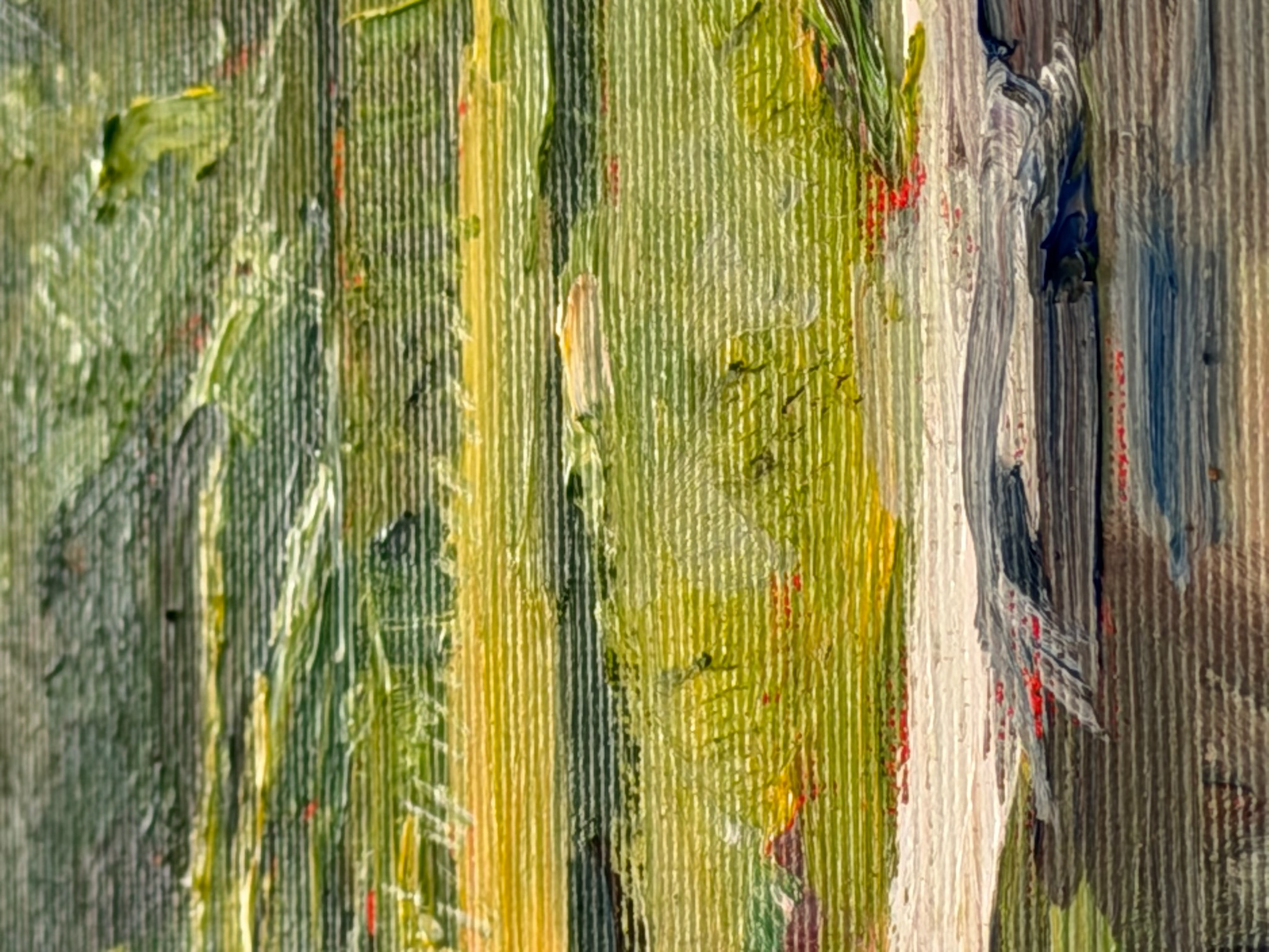 Engadine Stream - Ansicht 5