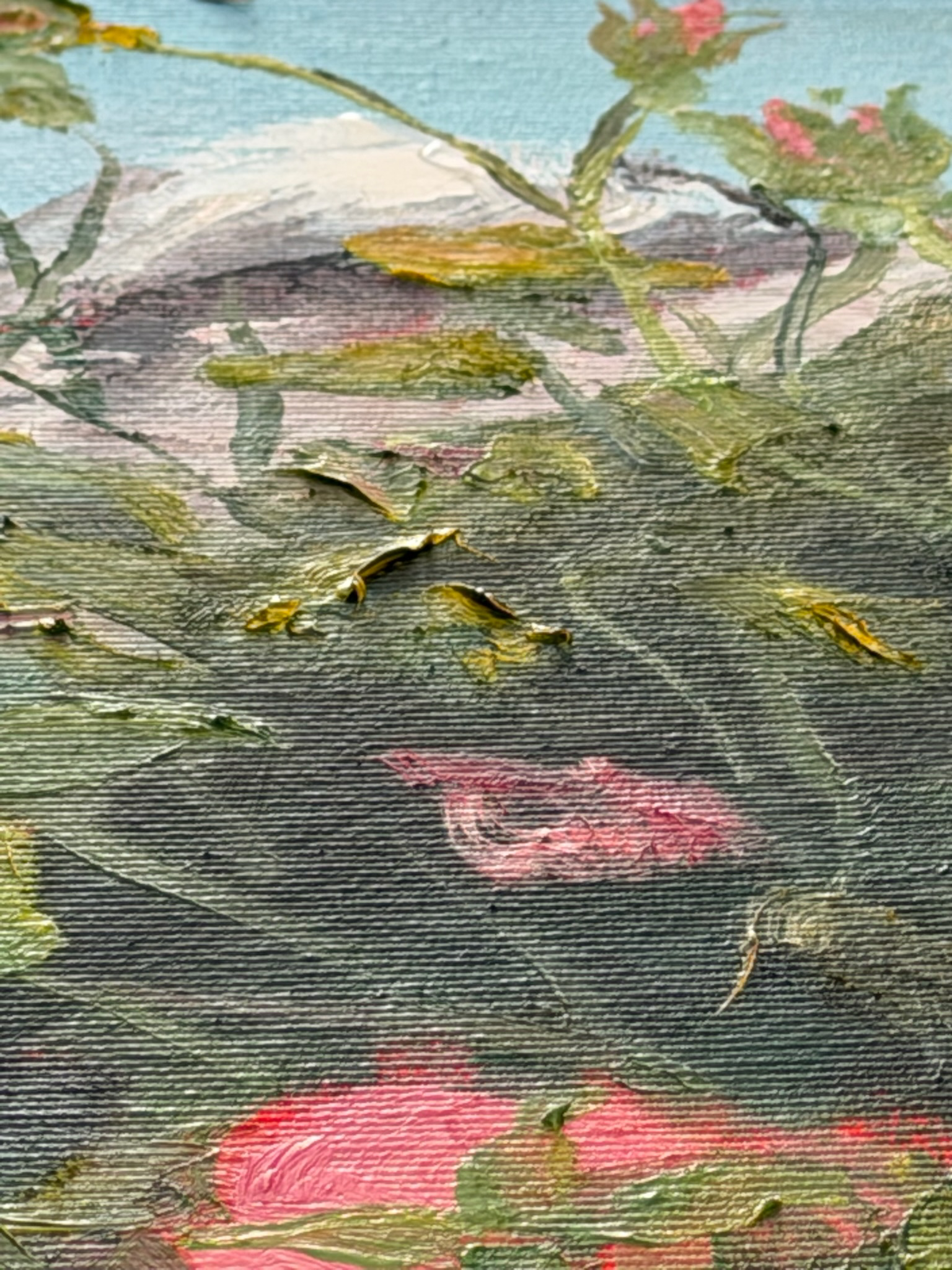 Roses and Peaks - Ansicht 4