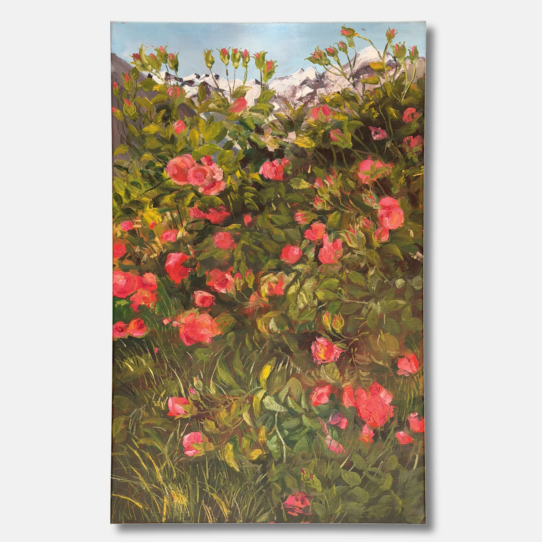 Roses and Peaks - alternate view