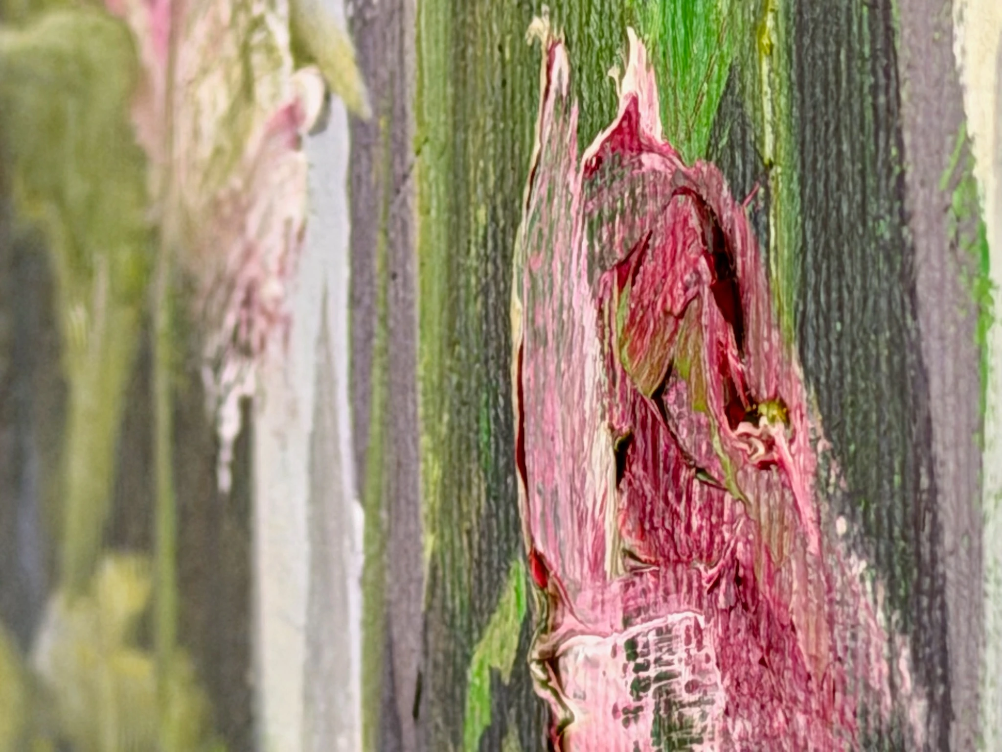 Zaun und Blumen - Ansicht 4