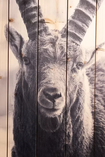 Face To Face - On Wood - vista 2