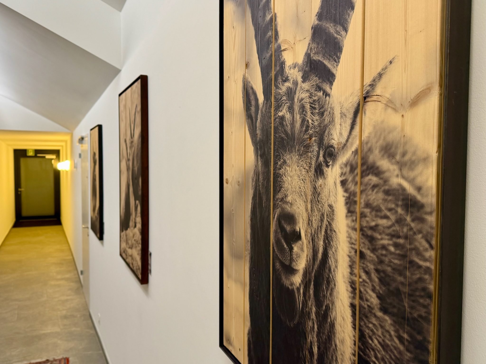 Face To Face - On Wood - vista 4