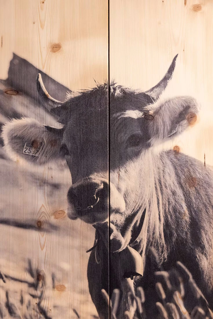 Mucca al Piz Uccello - Ansicht 2