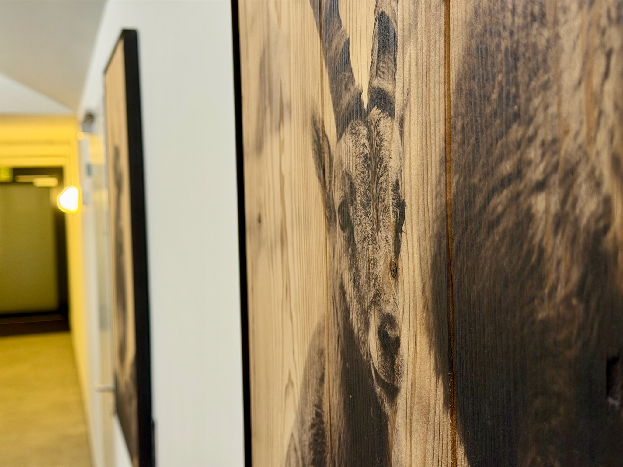 Two ibexes - Ansicht 3