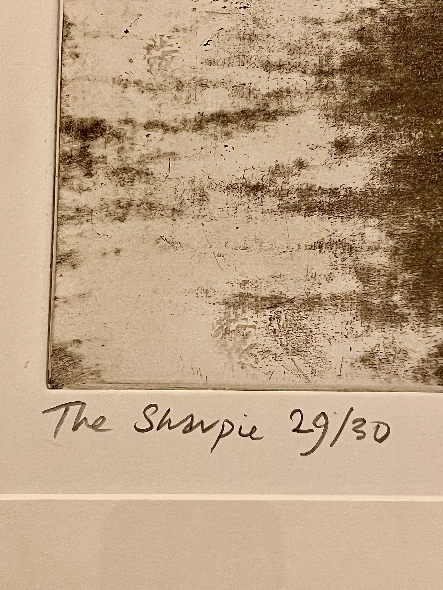 The Sharpie - vista 4