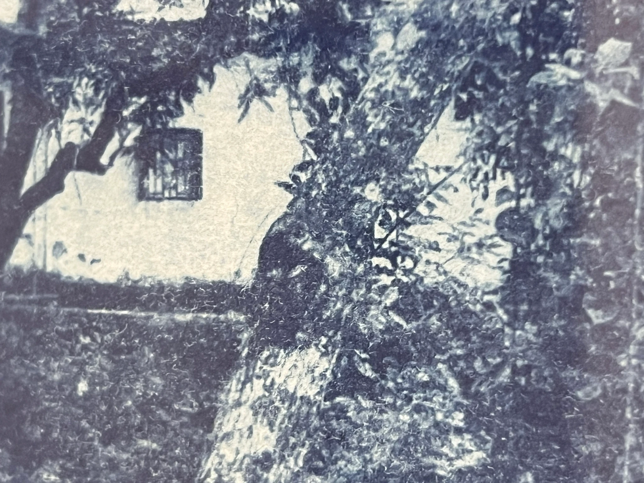 Hidden Home (Ghar) - view 3