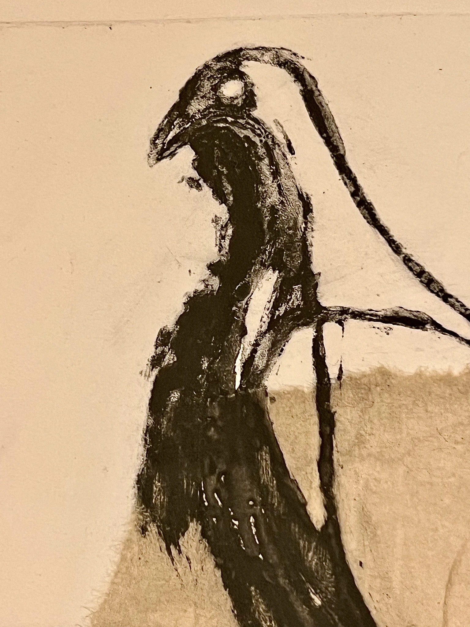 Doves from Elgin Marbles - vista 3