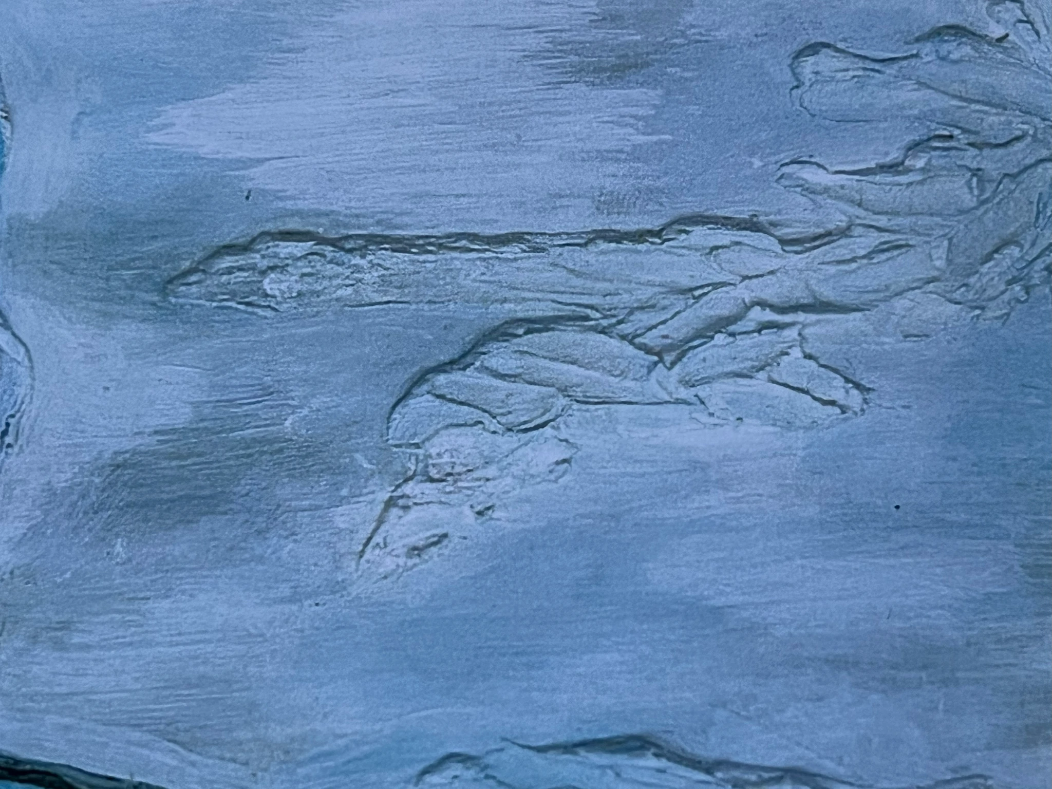 Swim to Me Softly - view 3