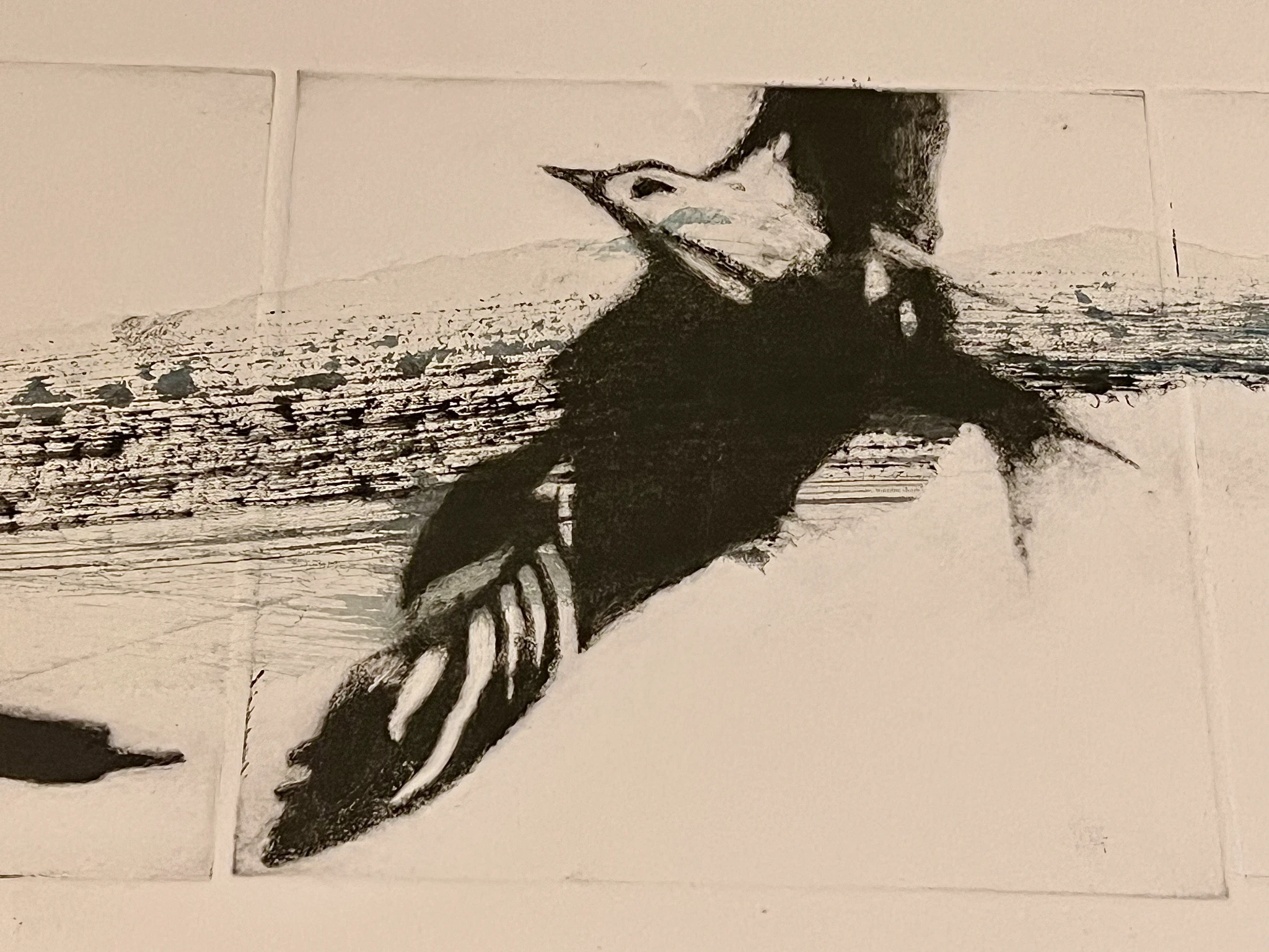 Seagulls - view 4