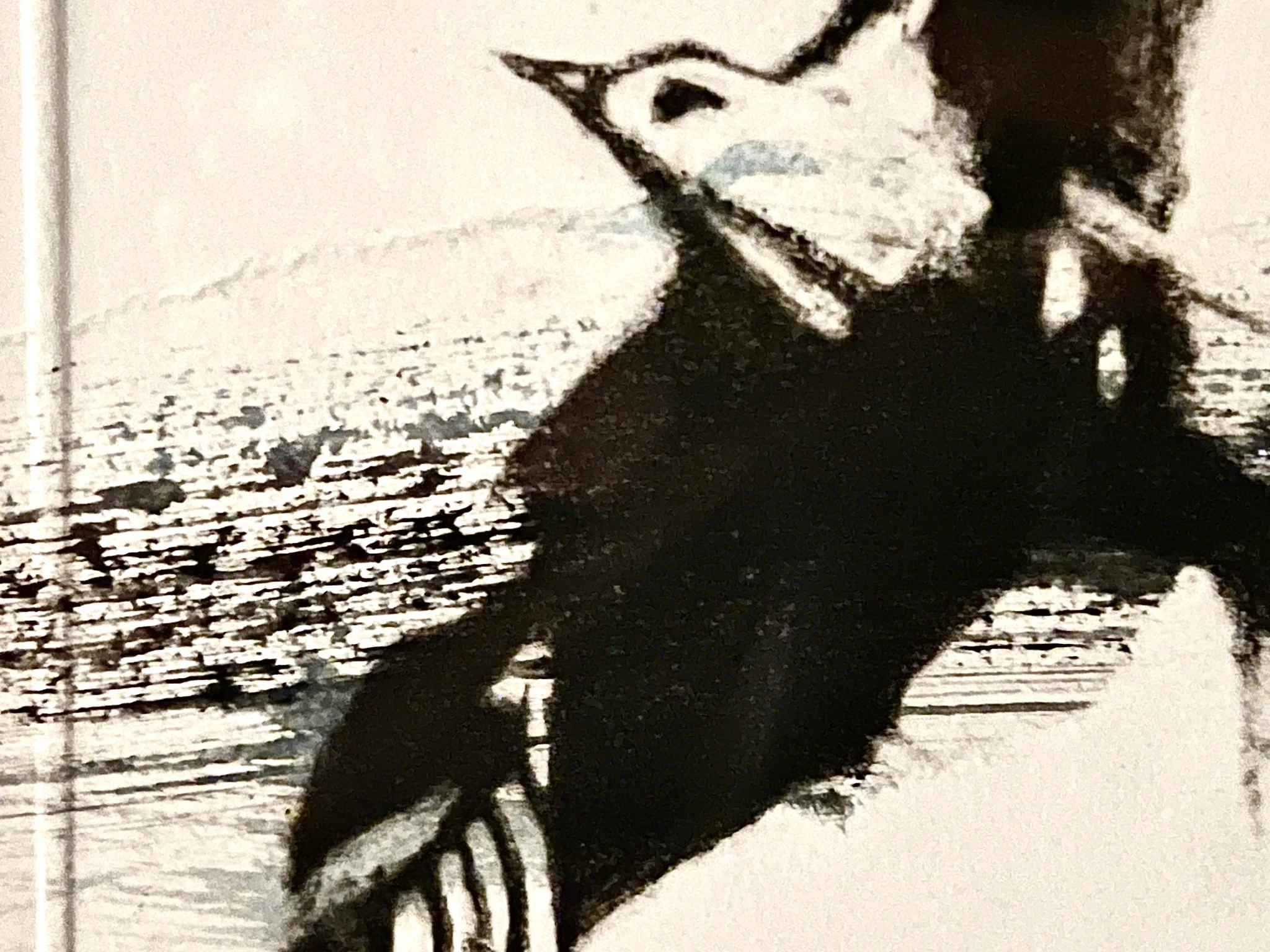 Seagulls 2/30 - Ansicht 4