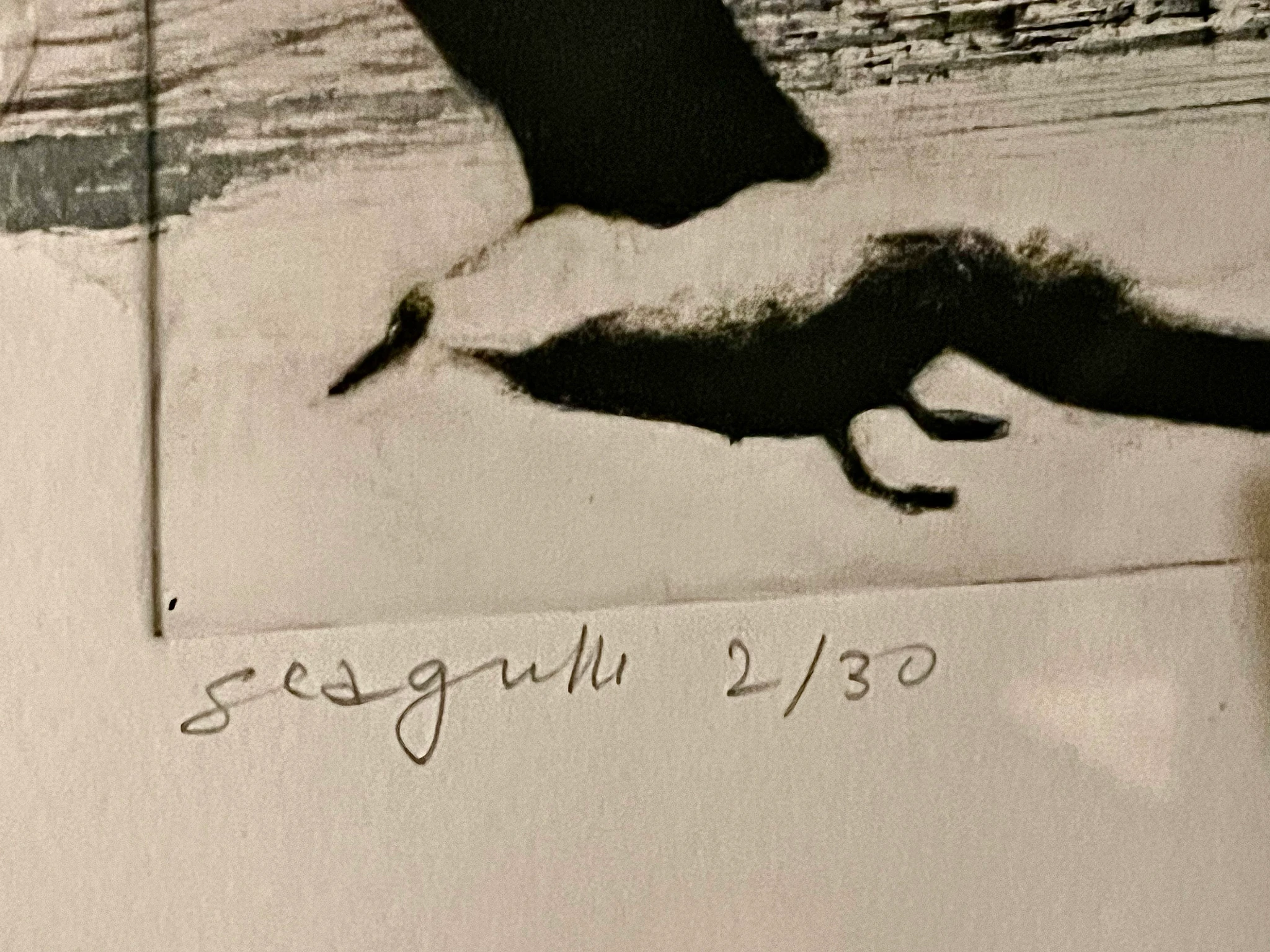 Seagulls 2/30 - Ansicht 3