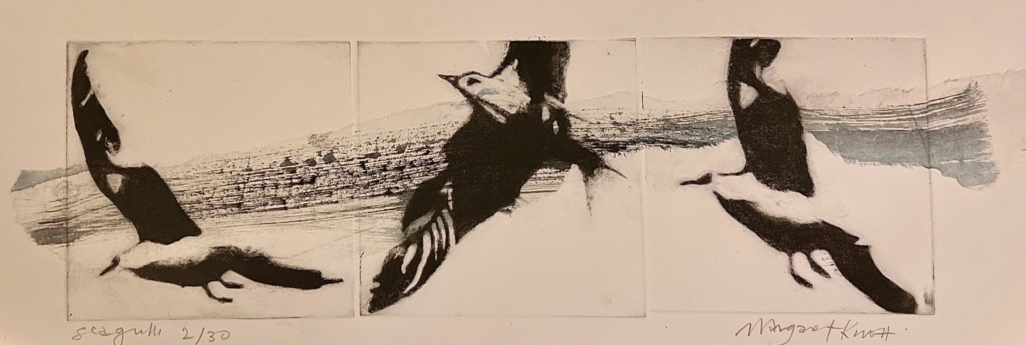 Seagulls