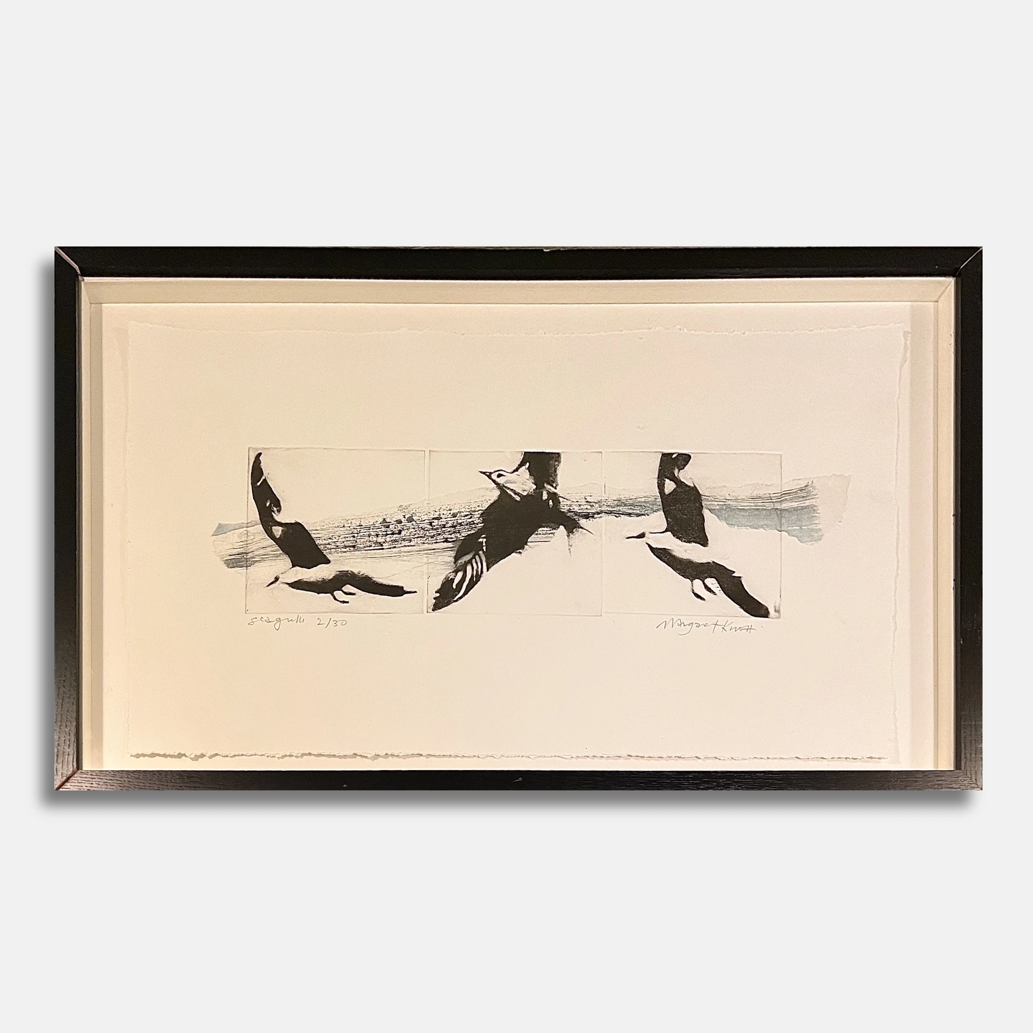 Seagulls — alternate view