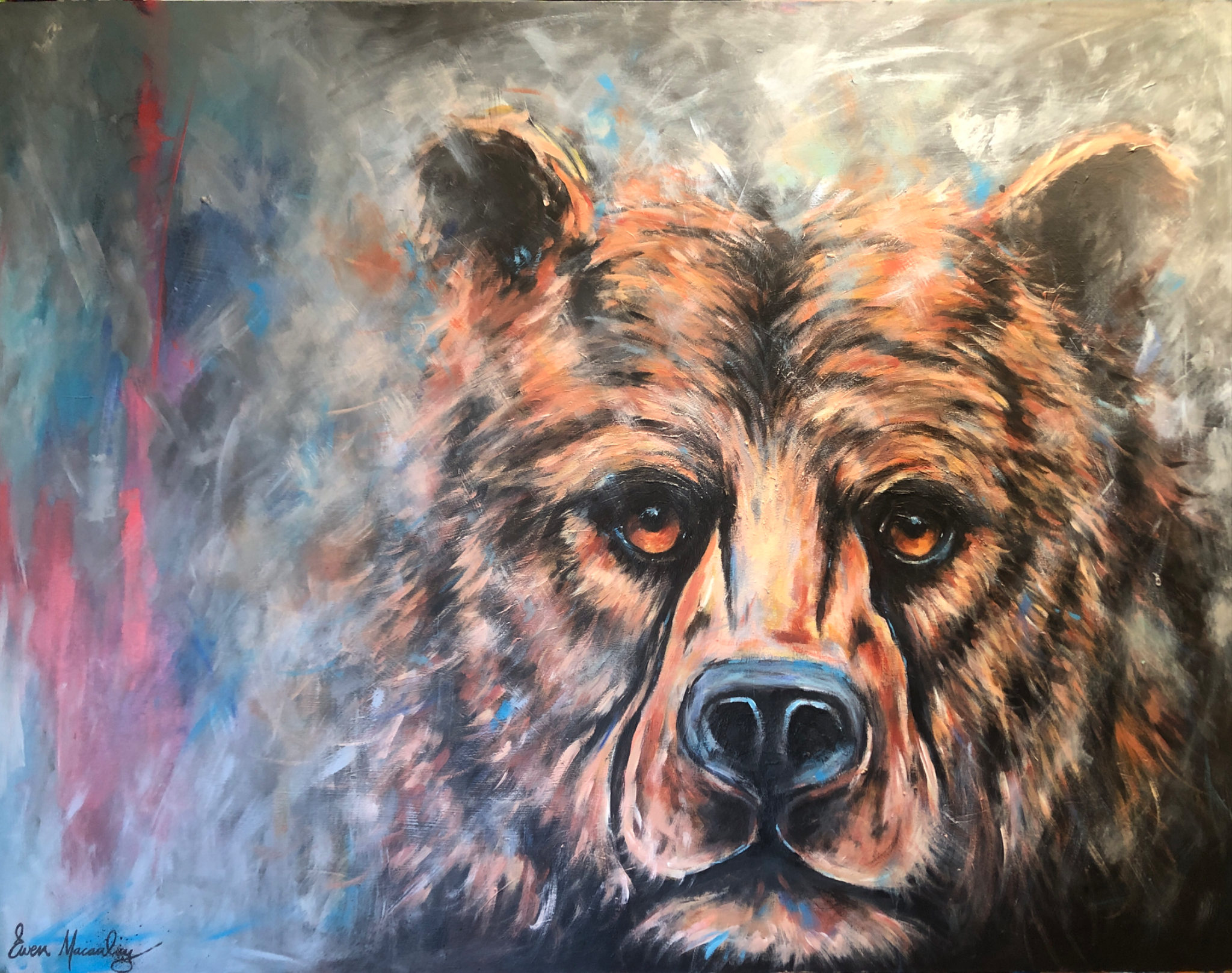 Grizzly Bear - view 4