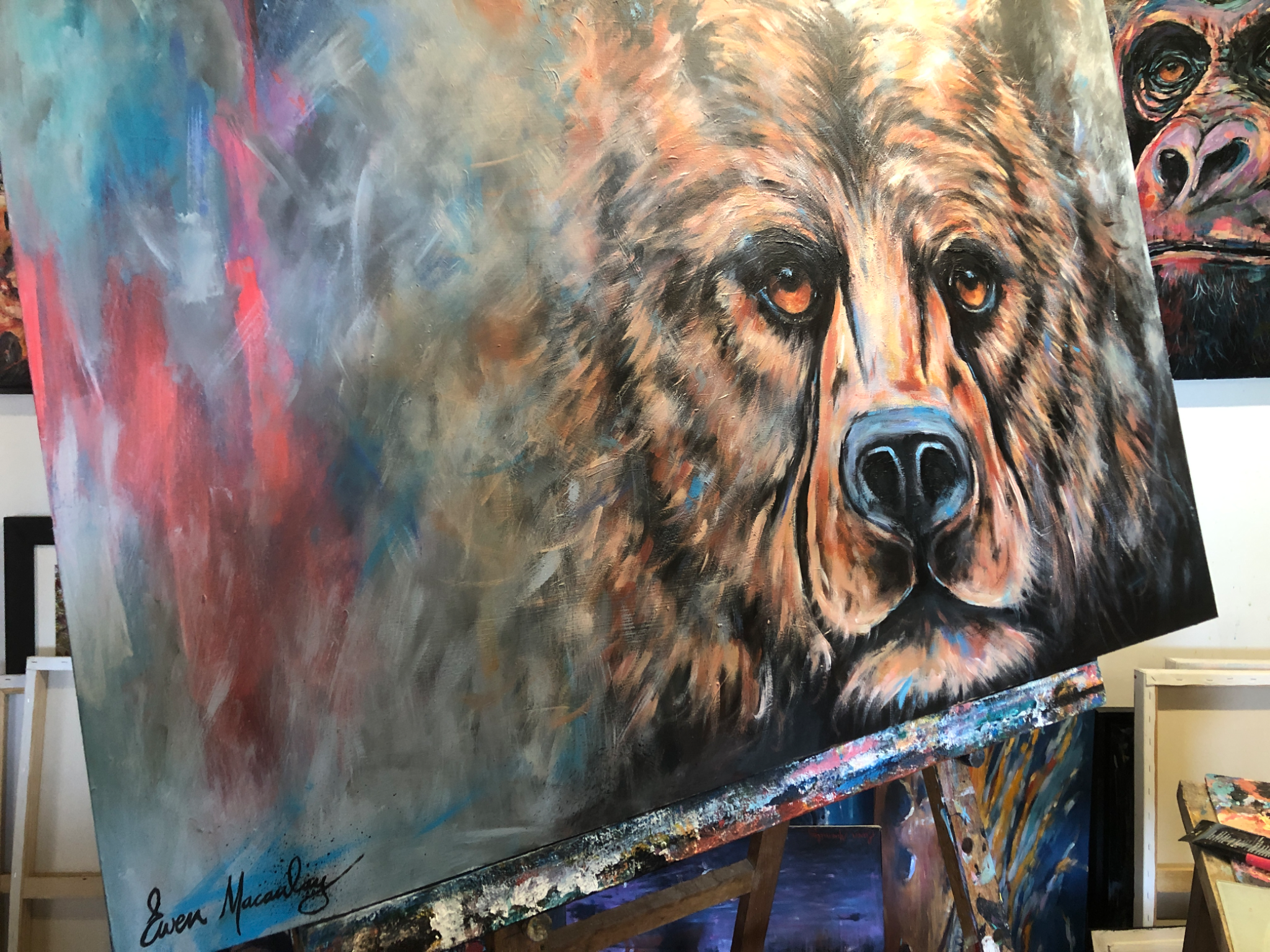 Grizzly Bear - view 3