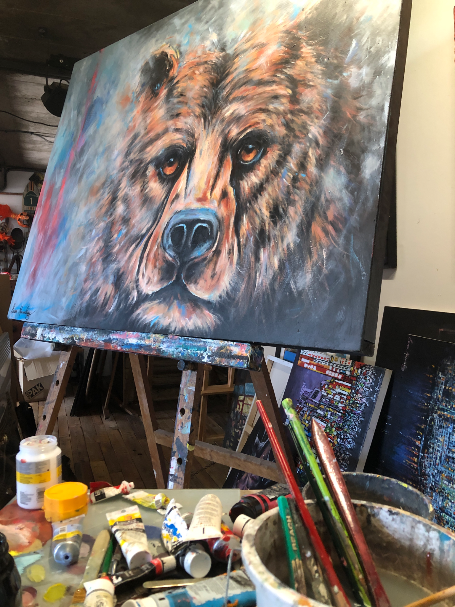 Grizzly Bear - view 6