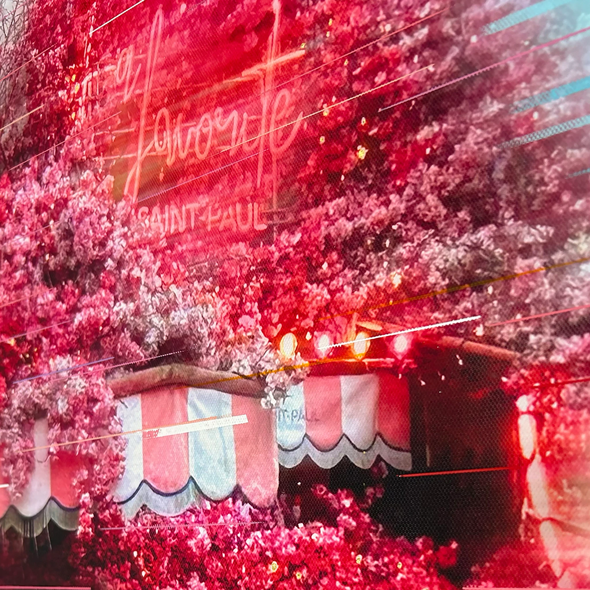 La Favorite Saint-Paul - view 3