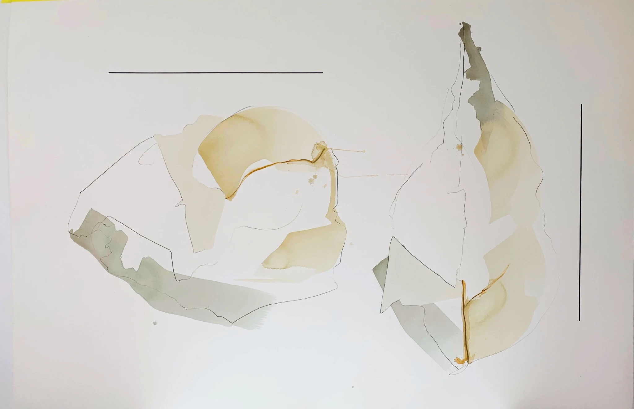 Two Fossils - Ansicht 2