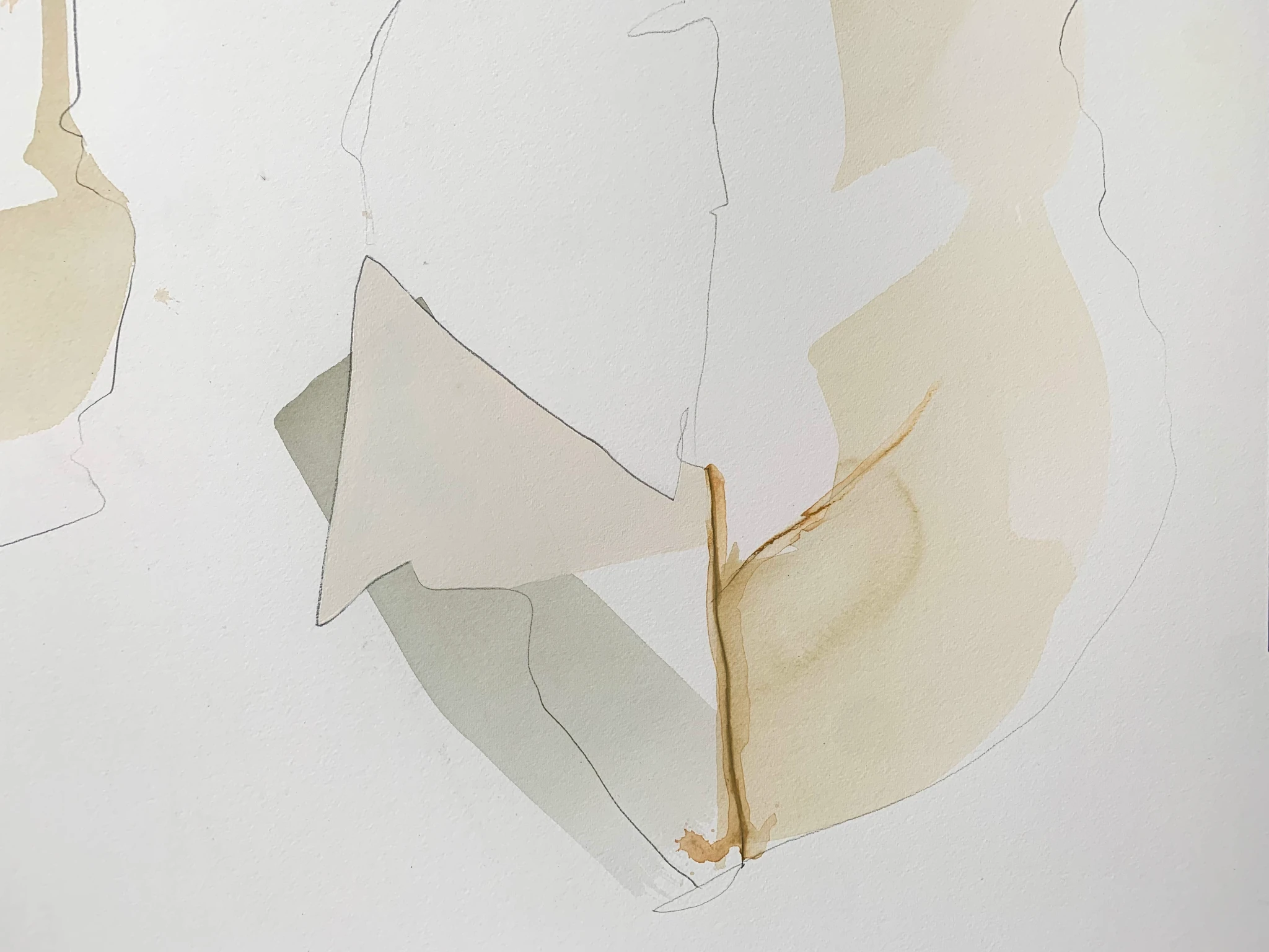 Two Fossils - Ansicht 3