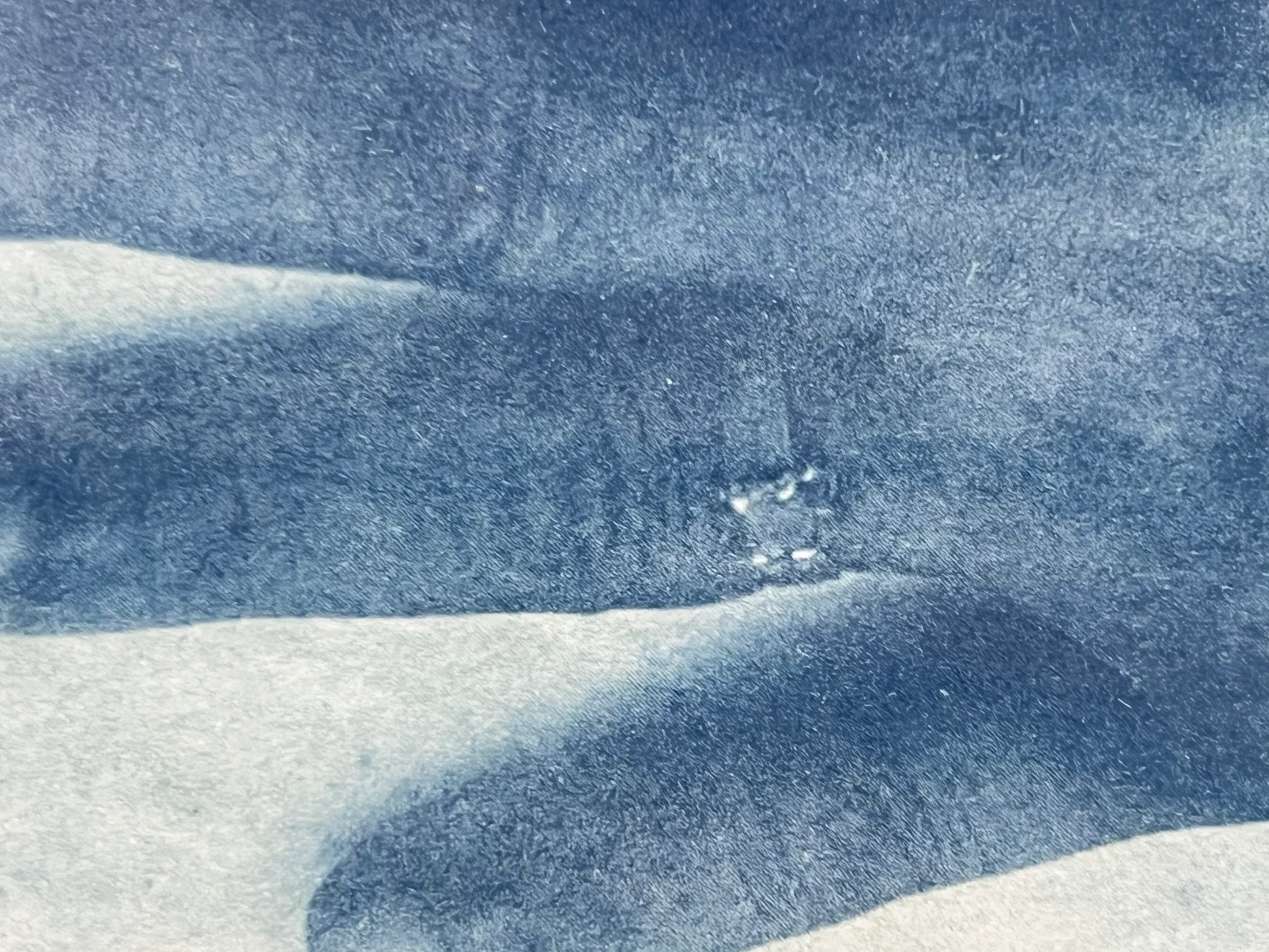 Sangeeta - view 3