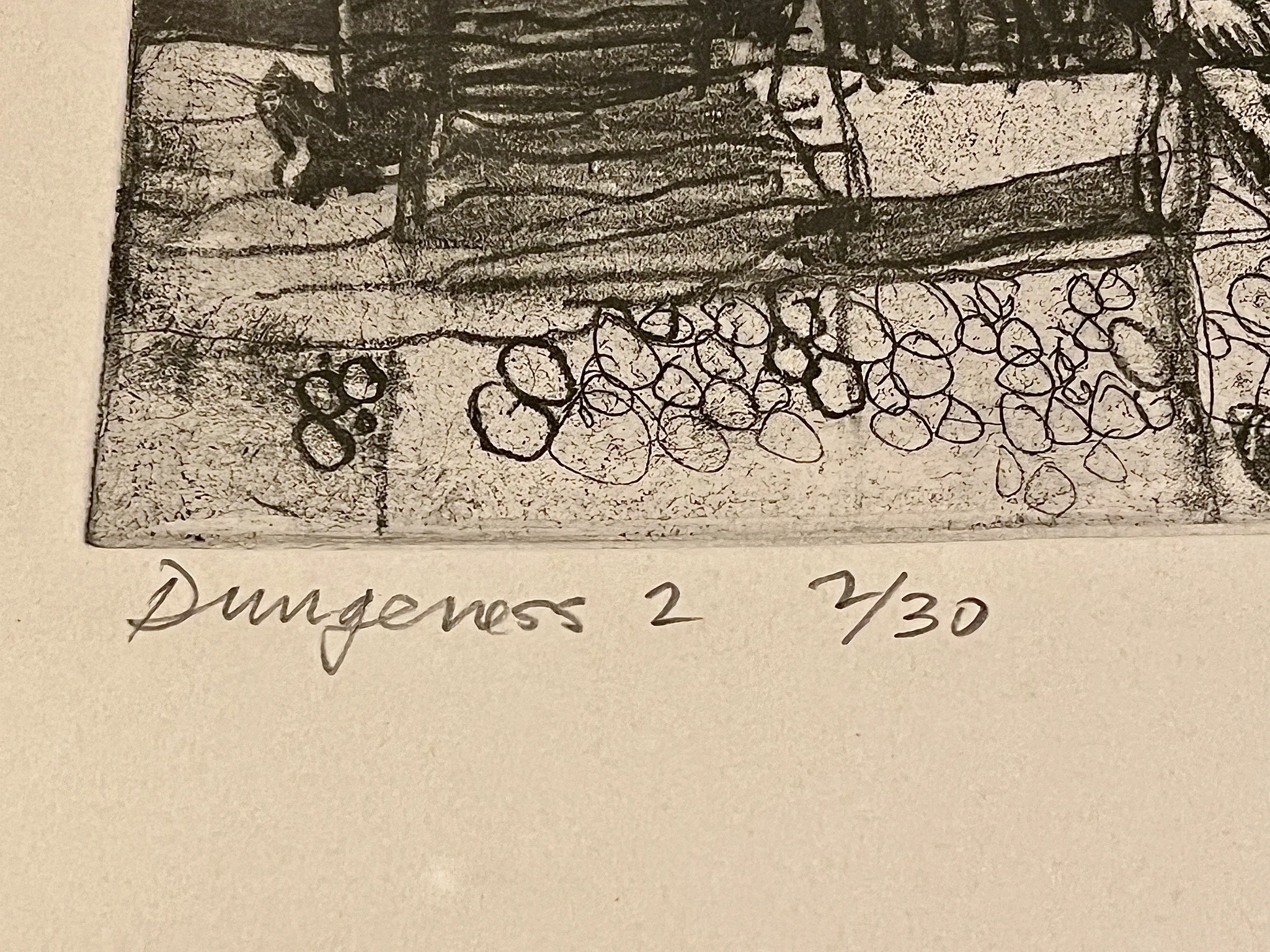 Dungeness 2 - view 5