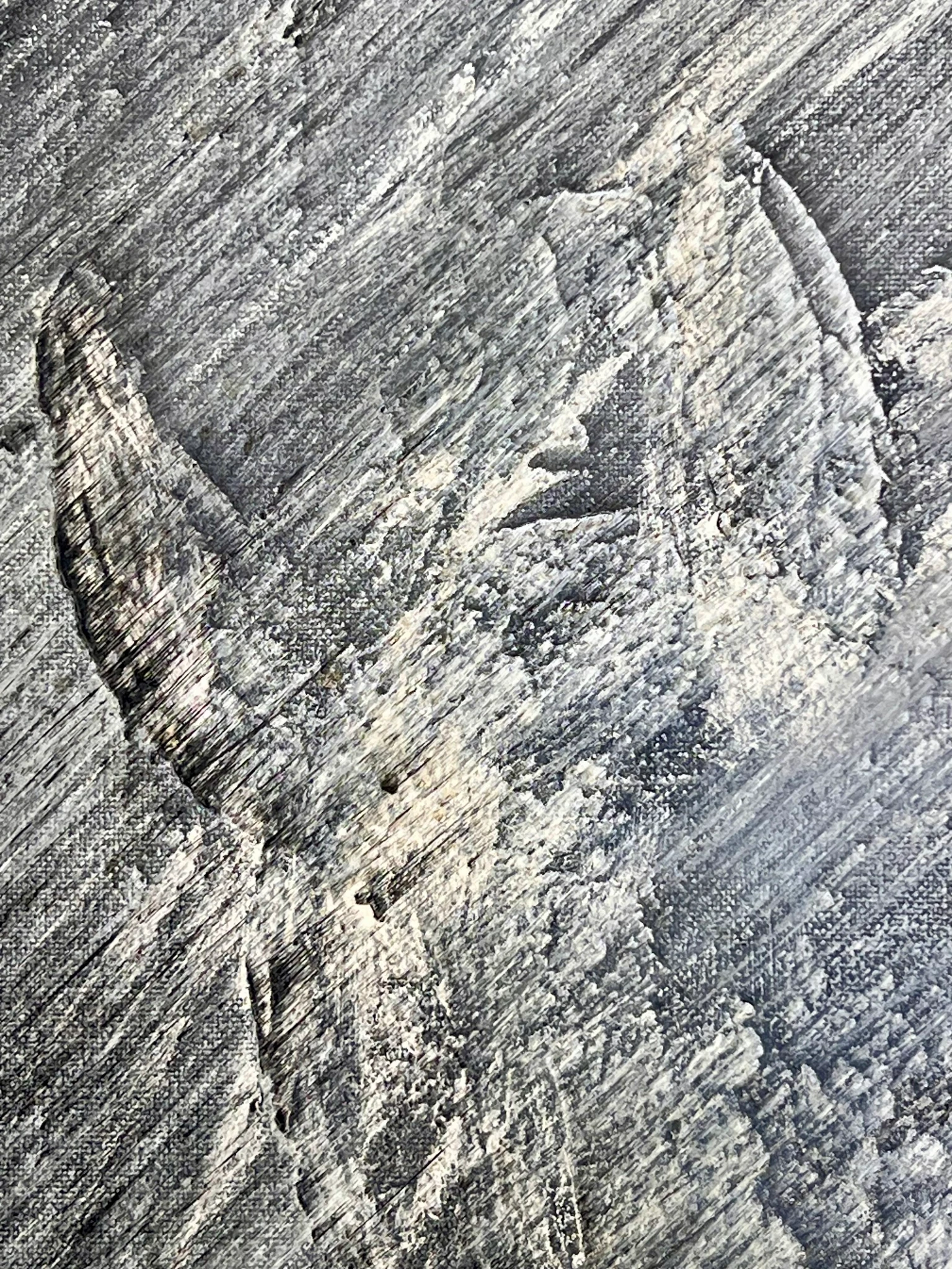 BUCEPHALUS - vista 4