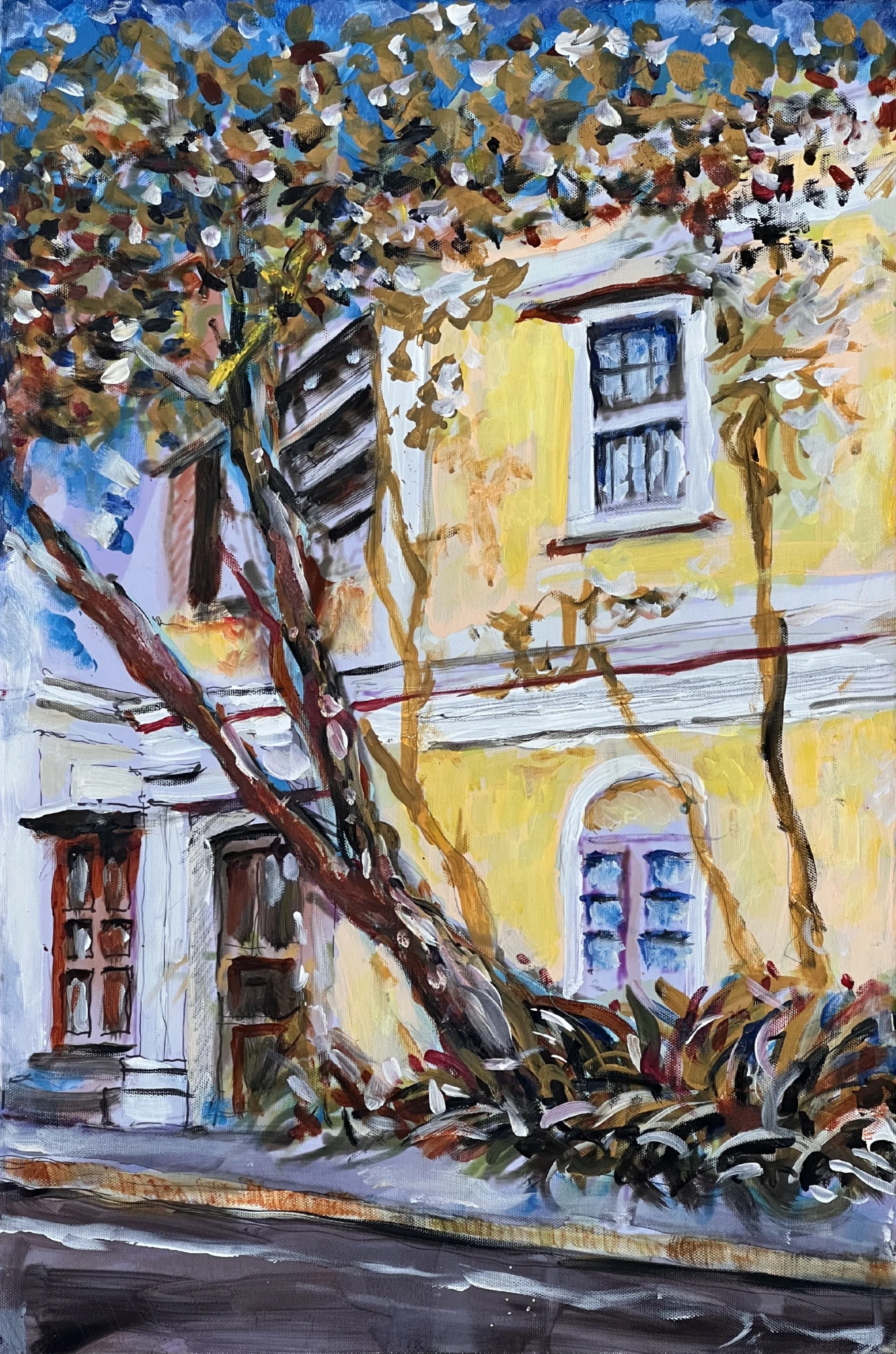 Rue Dumas, Pondicherry, India